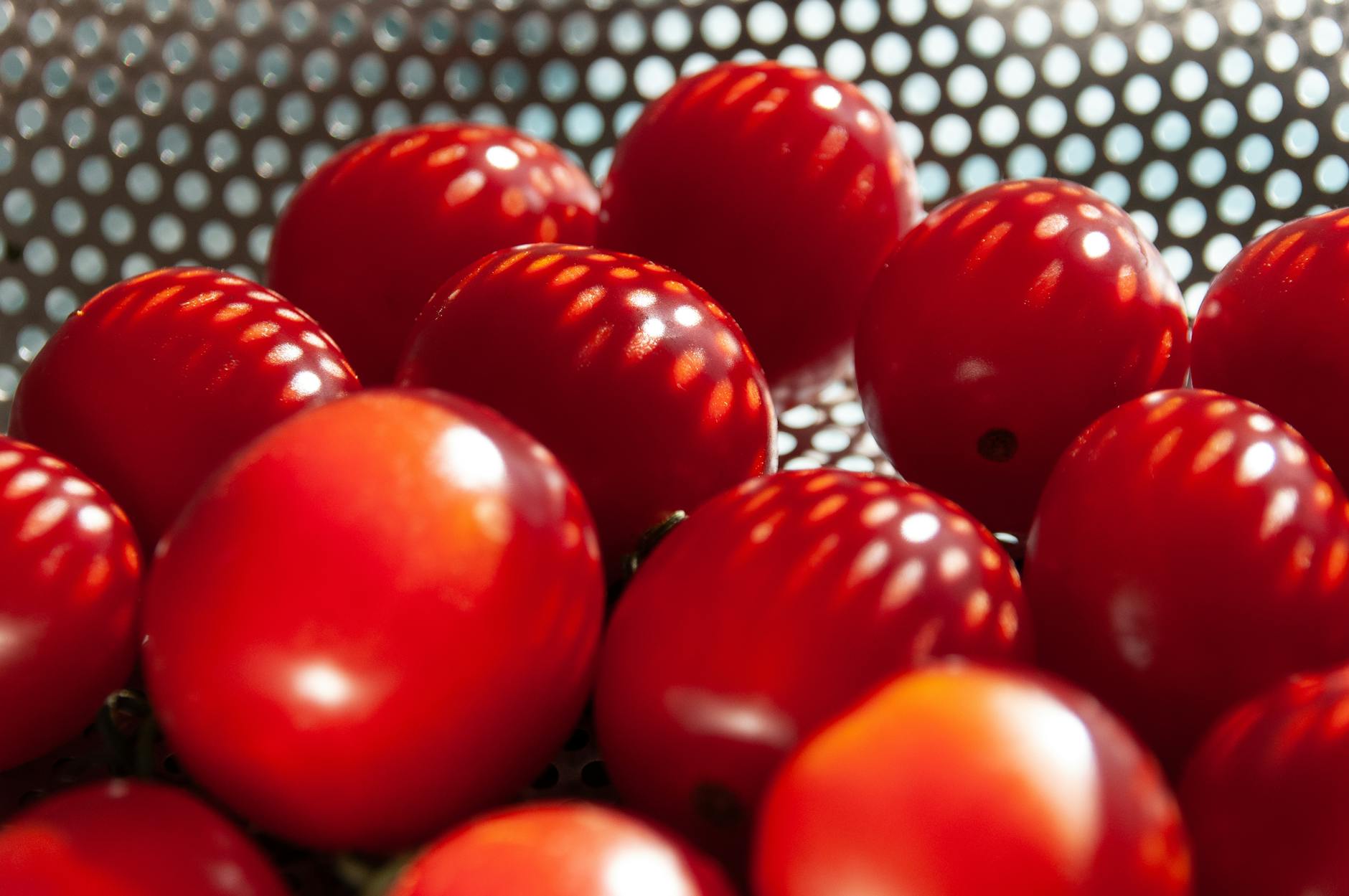 Soczyste czerwone pomidorki koktajlowe w zbliżeniu z grą światła